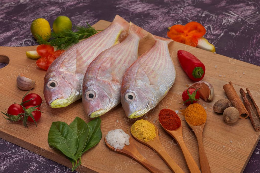 Threadfin Bream Motaf Marine