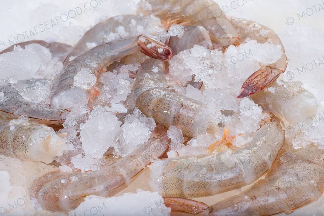 Farmed Vannamei Shrimp